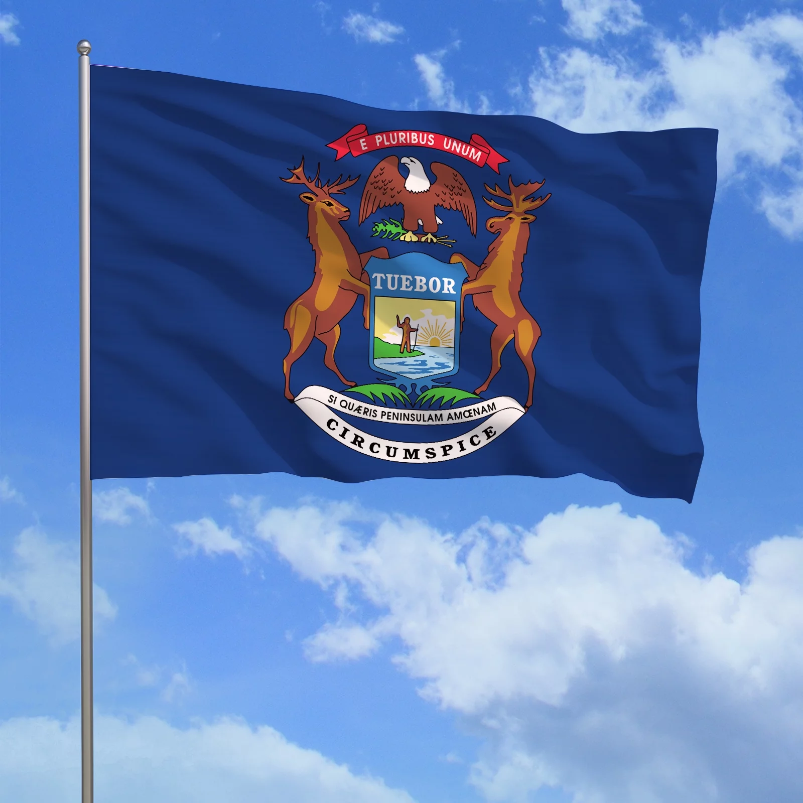 Michigan flag