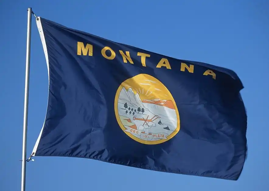 Montana Flag