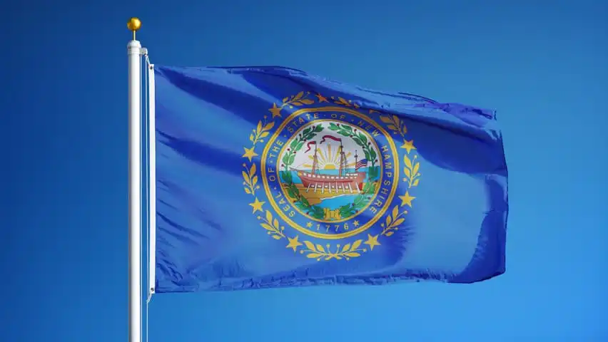 New Hampshire Flag