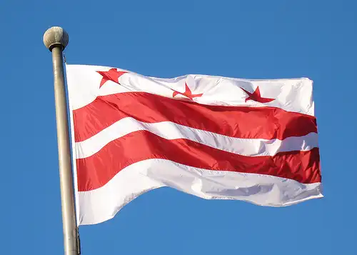 Washington D.C Flag