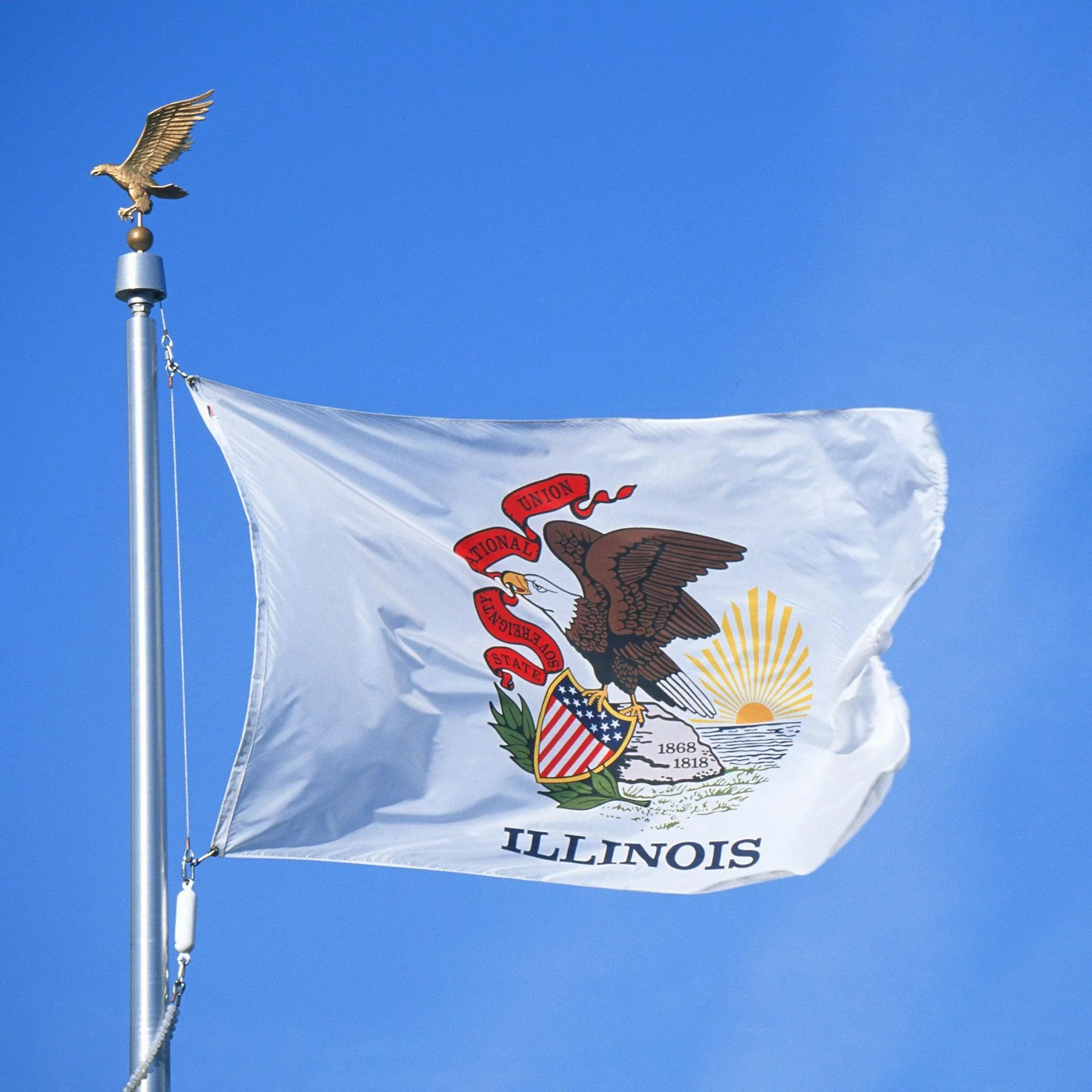 Illinois Flag